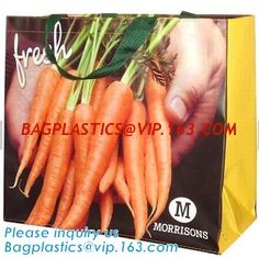 China Promotional Cheap Polypropylene Die Cut Laminated TNT Tote PP Woven Shopping Bag,Europe Standard bopp Laminated China PP supplier