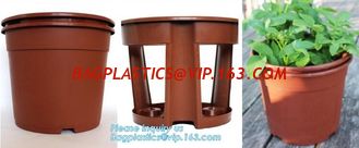 China Hydroponic Growing Pot Bato bucket for Greenhouse ,dutch bato bucket,plastic flower nursery pots,balcony garden three pe supplier