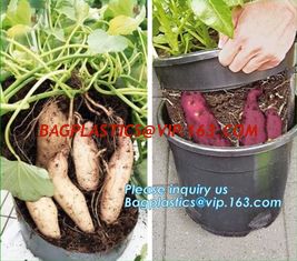 China Tomato Potato Carrot Onion Peanut Growing Pot Garden Planter Pot,PP potato grow pot planting bag, bagplastics, bagease supplier