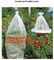 Garden used tomato plastic film cover,high light transmittance solar control seeding nursery greenhouse covers,100% virg supplier