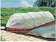 high light transmittance solar control seeding nursery greenhouse covers,100% virgin LDPE protective single layer cucumb supplier