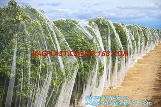 China Plastic Anti Bird/Hail/Insect Plants Protection Net for Agriculture,insect repellent net/20x10 Anti Aphid Net/Greenhouse supplier