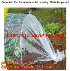 China plastic tomatoes home garden polytunnel greenhouse film,Film Covering Tomato Planting Greenhouse,agricultural TUV polyet supplier