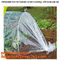 plastic tomatoes home garden polytunnel greenhouse film,Film Covering Tomato Planting Greenhouse,agricultural TUV polyet supplier